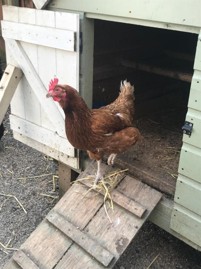 Knockloghrim The Shed. 아파트 외부 사진